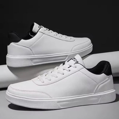 CD Sneaker